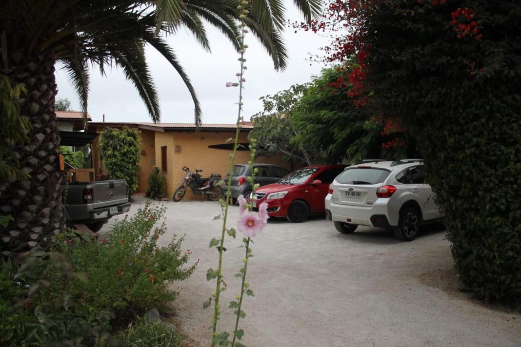 לה סרנה Hostal El Punto מראה חיצוני תמונה